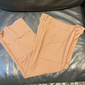 Brown Women Dress Pants